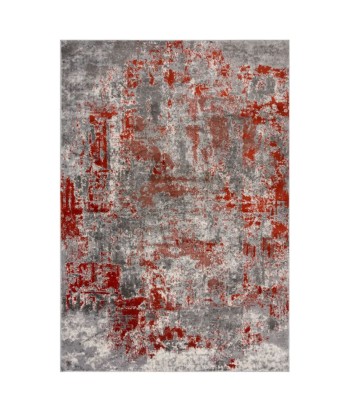 Tapis vintage gris et rouge 120x170cm à prix réduit toute l'année