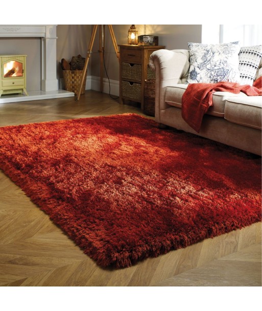 Tapis shaggy Pearl rouille 120x170cm Faites des économies