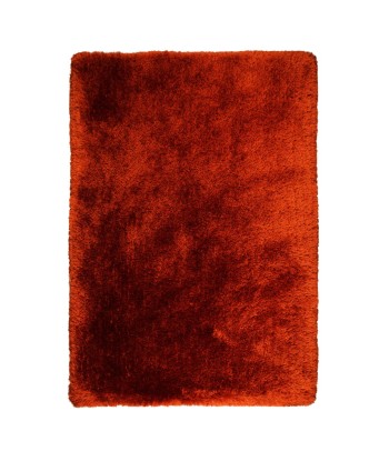 Tapis shaggy Pearl rouille 120x170cm Faites des économies