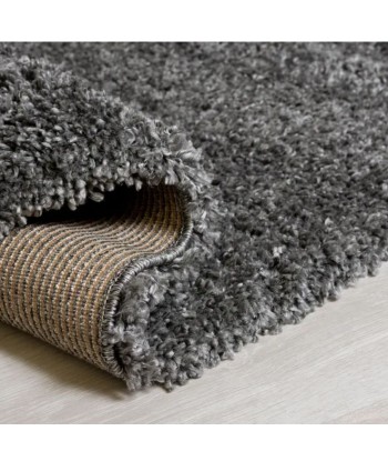 Tapis shaggy Sparks Anthracite 200x290cm des créatures d'habitude