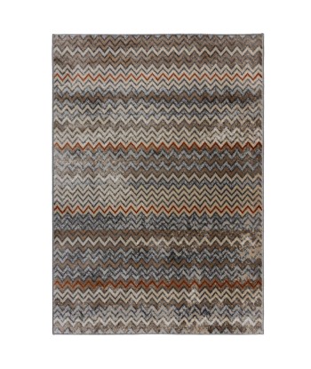 Tapis multicolore Nala chevron une grave pollution 