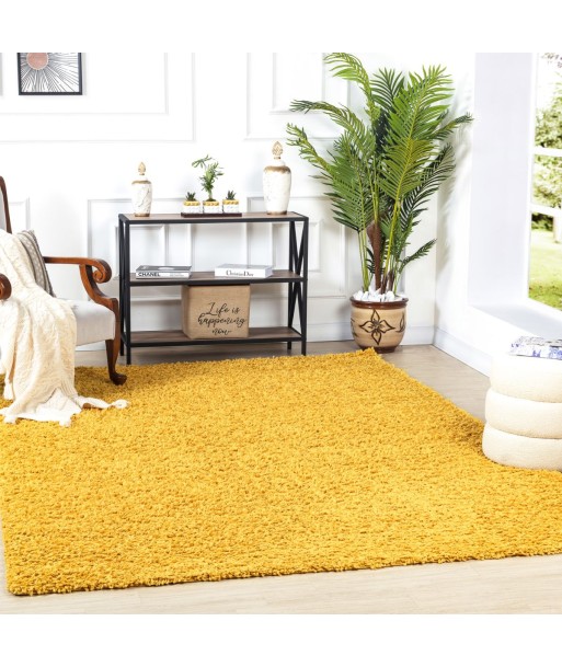 Tapis Shaggy Lilly 160x220cm Comparez et commandez 