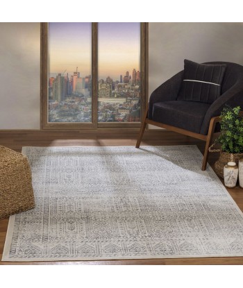 Tapis vintage Ilona 160x213cm Ivoire/Gris 2024