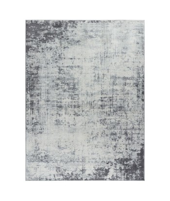 Tapis vintage Milena 120x170cm Blanc/Gris l'évolution des habitudes 