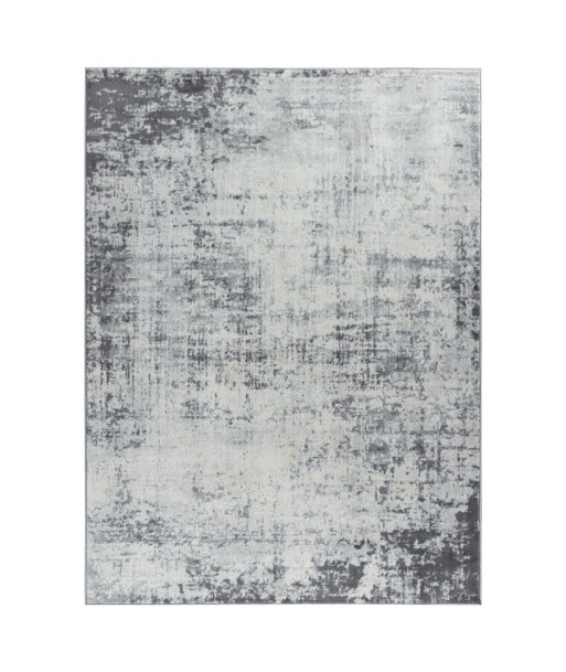 Tapis vintage Milena 120x170cm Blanc/Gris l'évolution des habitudes 