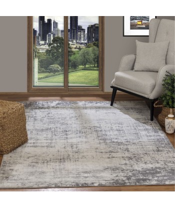 Tapis vintage Milena 120x170cm Blanc/Gris l'évolution des habitudes 