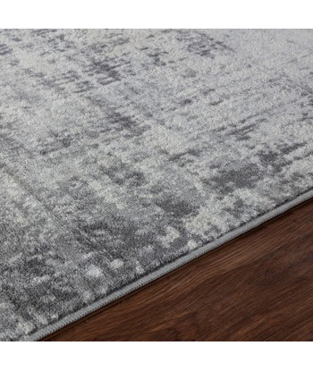 Tapis vintage Milena 120x170cm Blanc/Gris l'évolution des habitudes 