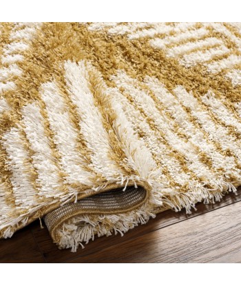 Tapis shaggy Nuria 160x220cm Faites des économies