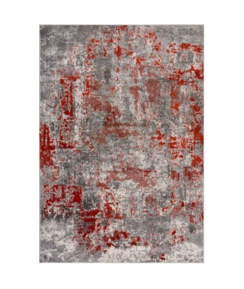 Tapis  vintage gris et rouge 160x230cm Toutes les collections ici