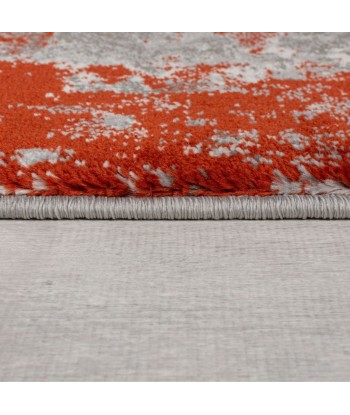 Tapis  vintage gris et rouge 160x230cm Toutes les collections ici