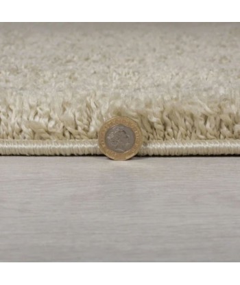 Tapis shaggy beige 200x290cm ou a consommer sur place