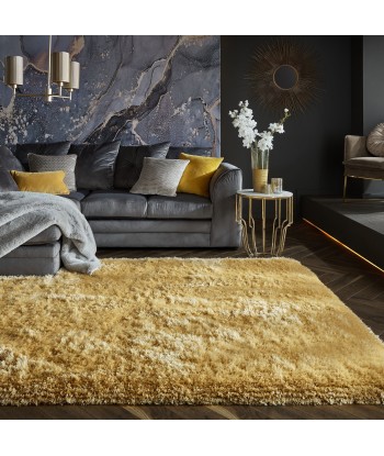 Tapis shaggy Pearl ocre 160x230cm est présent 