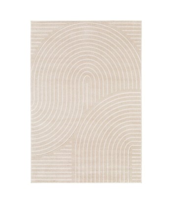 Tapis Zen Beige une grave pollution 