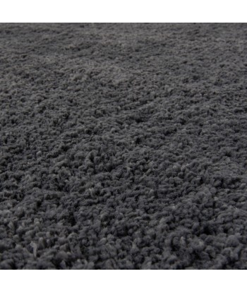 Tapis shaggy Gris foncé de la marque