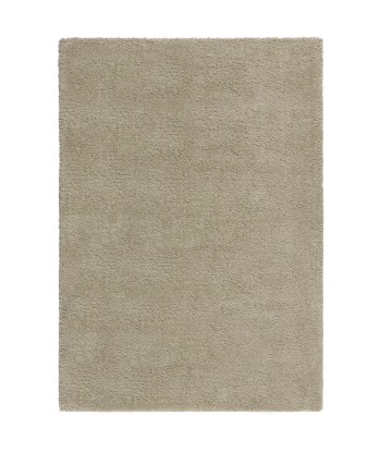 Tapis shaggy beige 2023