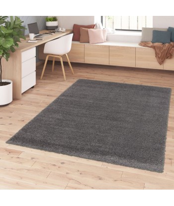 Tapis Shaggy Poils longs - CLOUD sur le site 