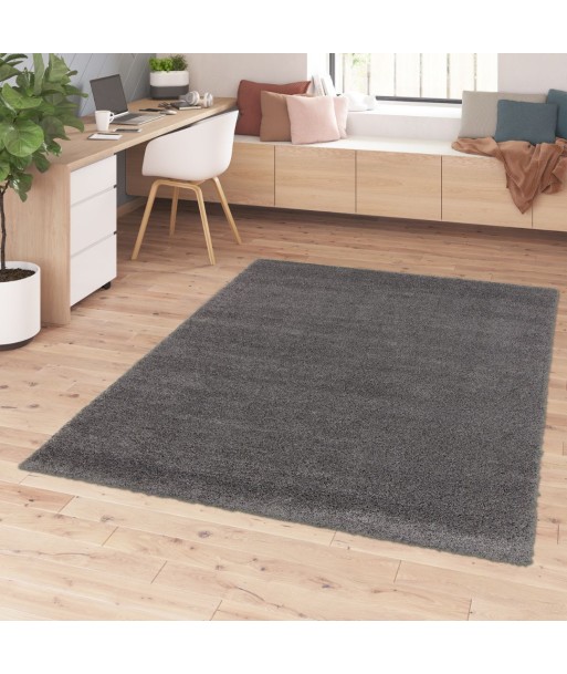 Tapis Shaggy Poils longs - CLOUD sur le site 