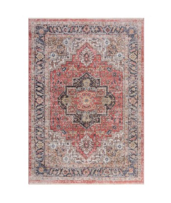 Tapis Dahria traditionnel rouge vintage acheter