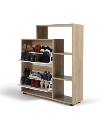 Meuble à chaussures 2 portes avec etagere Par le système avancé 